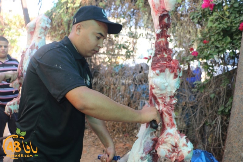 lod8om ada73y (96).JPG